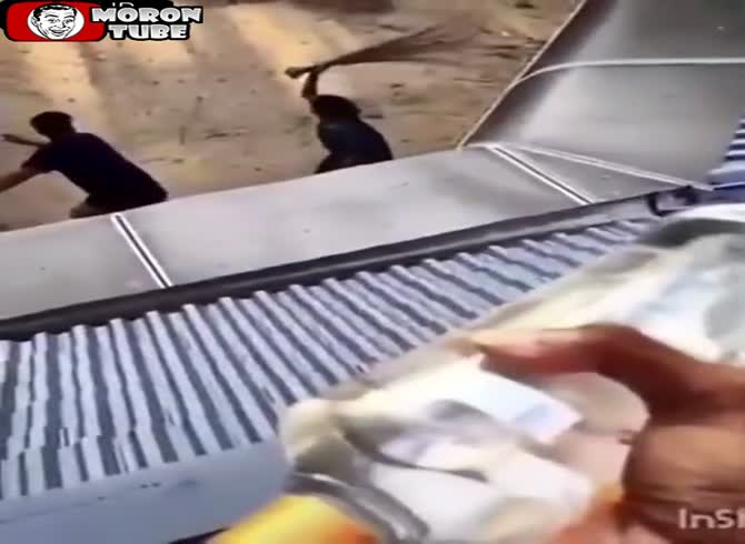 Video :When you're under quarantine, having pals is fantastic